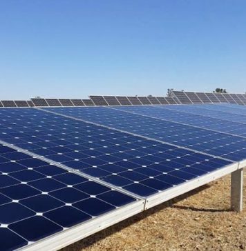 Солнечная электростанция на 1,2 ГВт может появиться в Чернобыле – концепцию разработала Франция