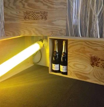 titul_vino_1