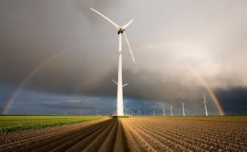 зеленые-проекты-украины