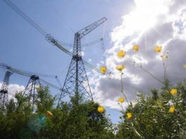 рынок-электроэнергии-украины