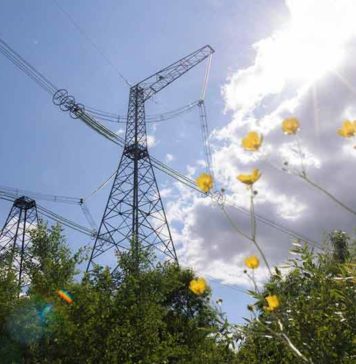 рынок-электроэнергии-украины