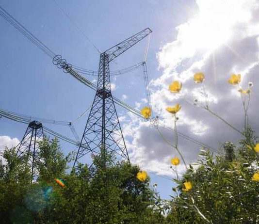 рынок-электроэнергии-украины