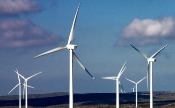 NBT--Zophia-ветропарк