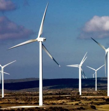 NBT--Zophia-ветропарк