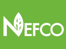 NEFCO-Украина-инвестиции