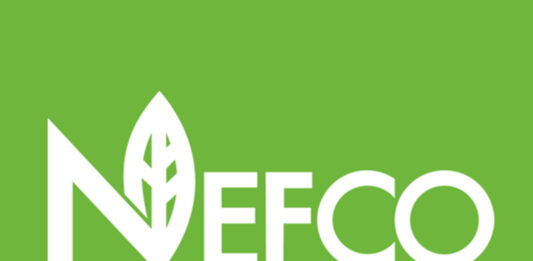 226 млн евро – инвестиции корпорации NEFCO в Украину за 10 лет NEFCO-Украина-инвестиции