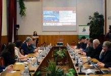 Украина-Финляндия-биомасса