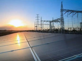 Электроблюз-зеленые-аукционы