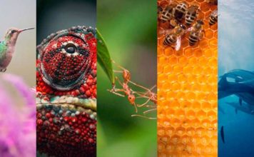 Электроблюз-ABB-Adaptive-Execution