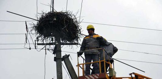 Электроблюз-ДТЭК-зеленый-Оскар