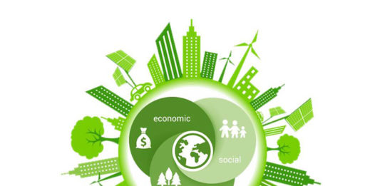 Электроблюз-зеленые-проекты-Украина