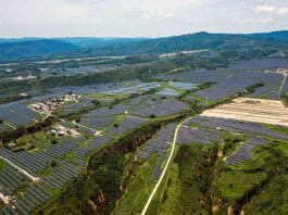 Электроблюз-Longi-Green-Energy-Technology-Co-водород