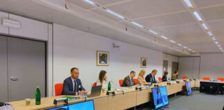 Электроблюз-минэнерго-ЕС-Зеленый-курс