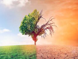 Электроблюз-в-Legrand-принял-новые-обязательства-по-снижению-выбросов