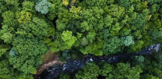електроблюз_шнейдер_нагорода