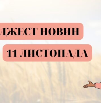 Дайджест новин за п’ятницю: ЗСУ зайшли в Херсон, ДТЕК готовий допомогти відновити енергопостачання в місті