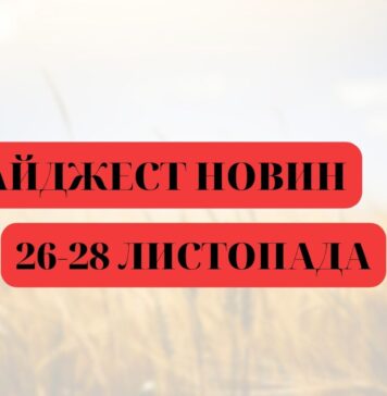 Ситуація з популярністю електрокарів в Україні погіршилася через проблеми зі світлом, а у Києві все ж встановлять новорічні ялинки електроблюз_новини_ялинка
